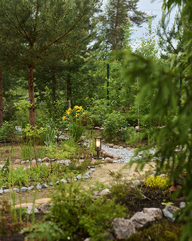 A tranquil garden path lined with stones, lush greenery, and yellow flowers, illuminated by a lantern amidst tall trees.