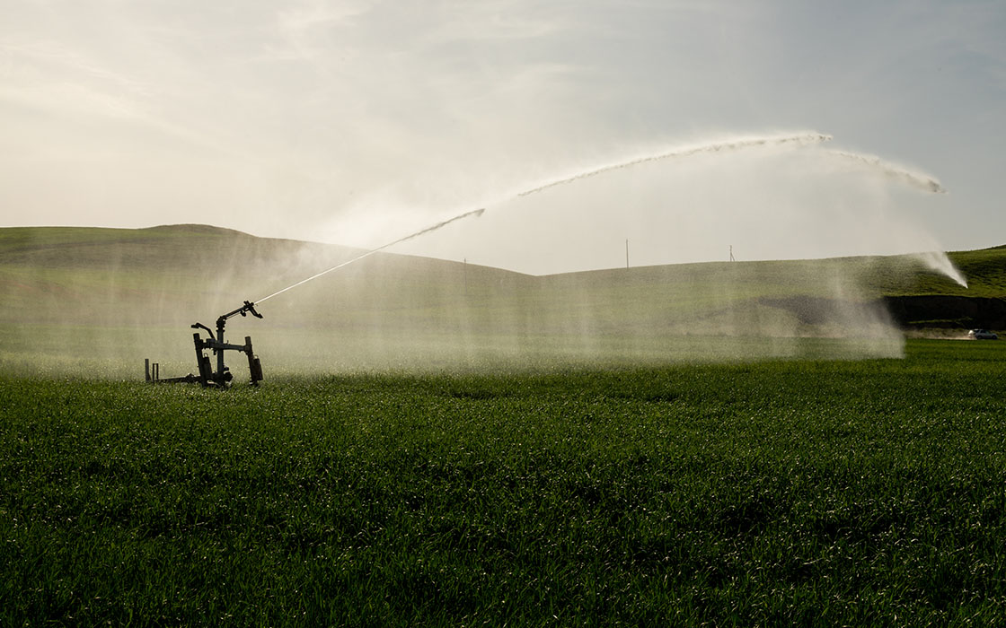 A pivot irrigation system sprays water over a lush green field, with rolling hills and soft clouds in the background.